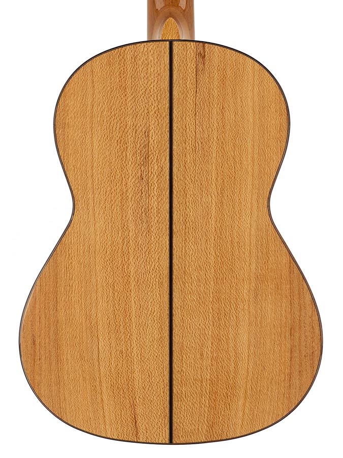 Kremona - ROSA D - Classic Guitar ROSA DIVA Solid Spruce and Solid Indian Silver Oak