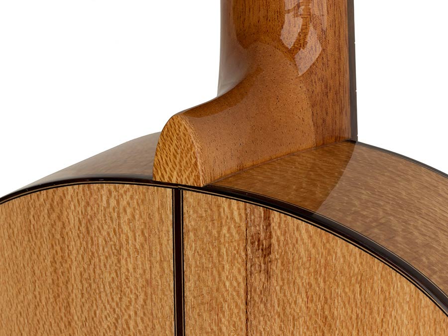 Kremona - ROSA D - Classic Guitar ROSA DIVA Solid Spruce and Solid Indian Silver Oak