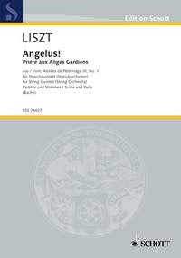Angelus!