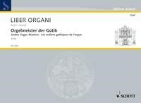 Liber Organi 8 Orgelmeister Der afbeelding 2