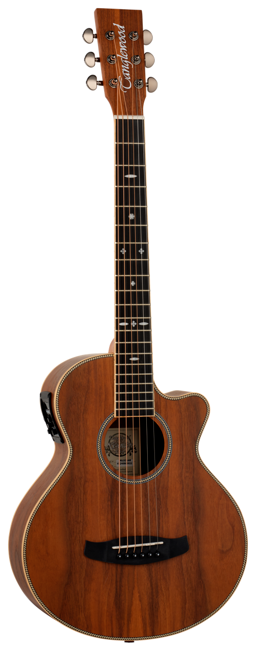 Tanglewood Reunion Pro 2 CE AW Walnut