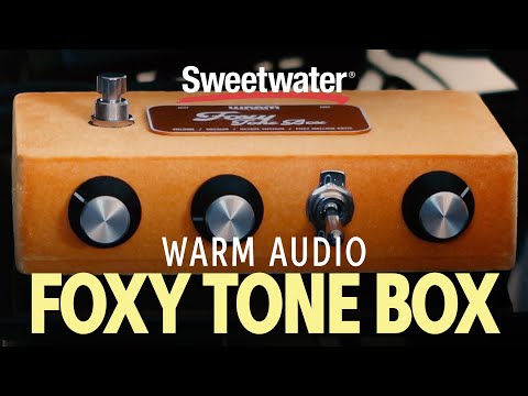 Warm Audio Foxy Tone Box video