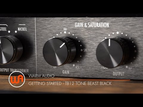 Warm Audio TB12-B video