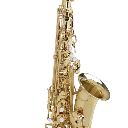 Collection image for: Blaasinstrumenten