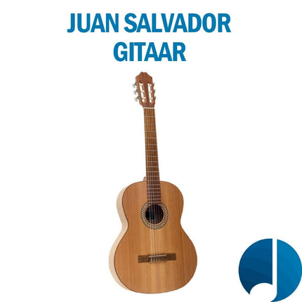 Collection image for: Total Sonic Juan Salvador 2025