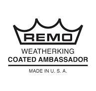Collection image for: EMD REMO 2025