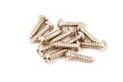 Fender 0011357049 Classic/Vintage Stemmechaniek-Montageschroeven #3 x 3/8 Inch Nikkel Set van 12