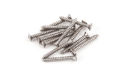 Fender 0021422049 Brugmontageschroeven Chroom #5 x 1 Inch Set van 12