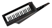Korg Draagbaar toetsenbord, digitaal, RK-100S2-TBK, USB, 37 toetsen, zwart
