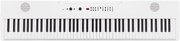 Korg Digitale Piano, Liano LIVE!, USB-C, Microfoon, Blender, 10 Ritmes, wit