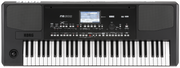 Korg Entertainer Keyboard, Pa300, 61 toetsen