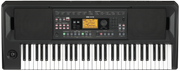 Korg Keyboard, Arranger EK-50, 61 toetsen