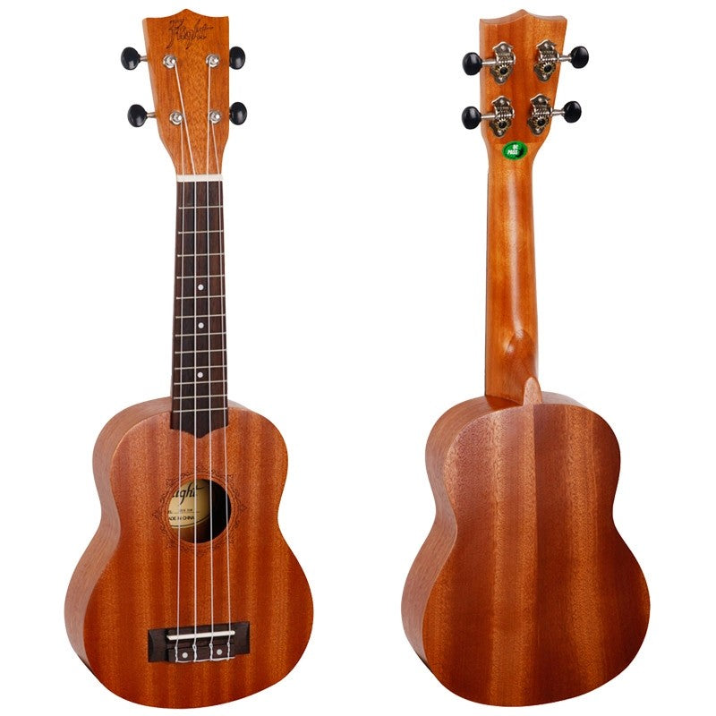 Flight NUS 310 – sopraanukelele