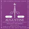 Augustine AUREGO Regal Gold snarenset voor klassiek gitaar afbeelding 2