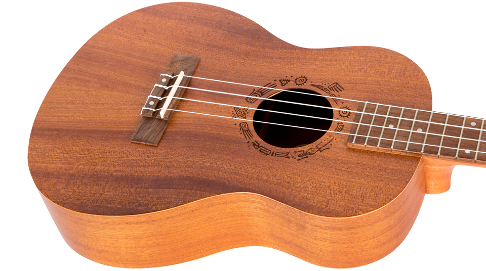 Flight NUB 310 – baritonukelele
