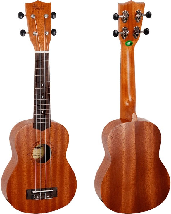Flight NUS 310 – sopraanukelele