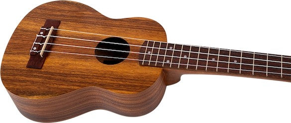 Flight NUC 200 – concertukelele