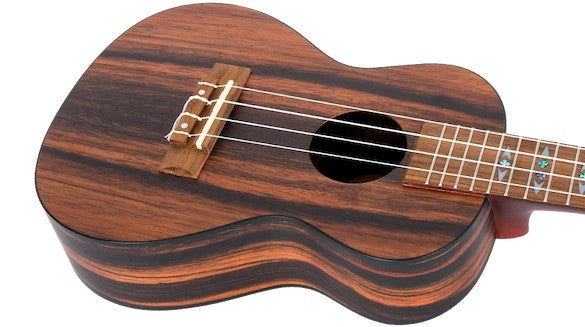 Flight DUC 460 AMARA – concertukelele