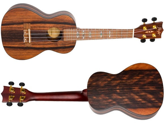 Flight DUC 460 AMARA – concertukelele