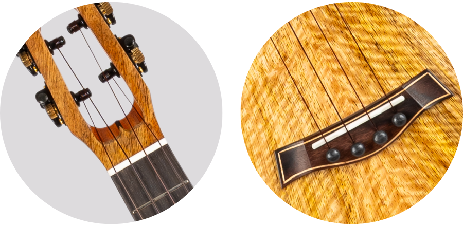 Flight SONGBIRD MANGO TENOR EQ-A – elektro-akoestische tenorukelele