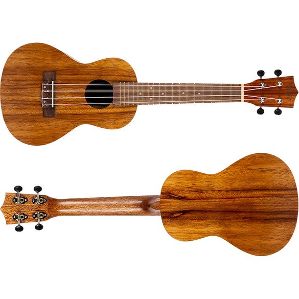 Flight NUC 200 – concertukelele