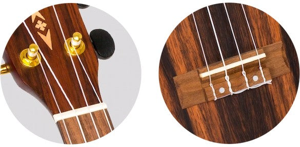 Flight DUC 460 AMARA – concertukelele