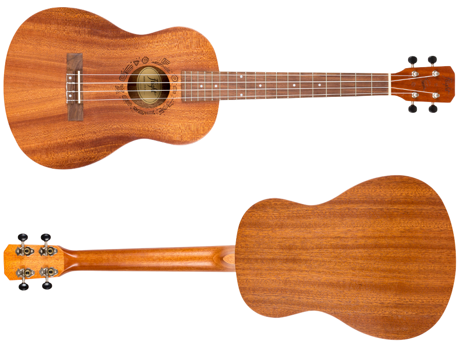 Flight NUB 310 – baritonukelele