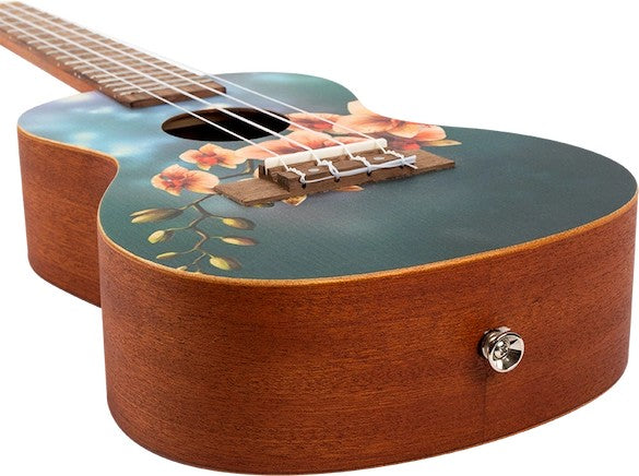 Flight AUC-33 Orchid – concertukelele