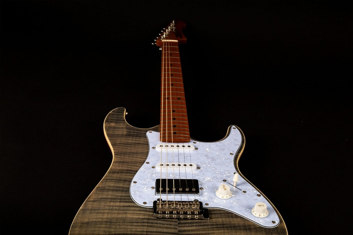JET Guitars JS-450 TBK – elektrische gitaar – S-stijl HSS transp. zwart
