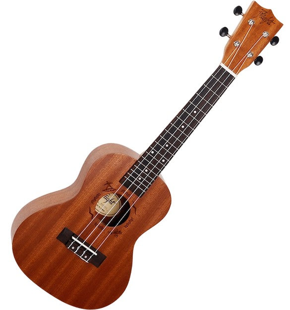 Flight NUC 310 – concertukelele