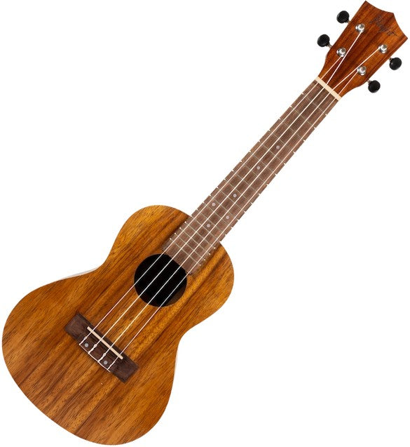 Flight NUC 200 – concertukelele