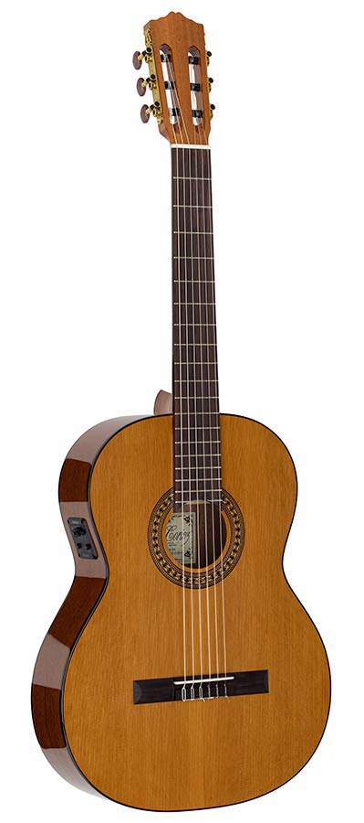 Salvador Cortez CC-22E Artist Series Klassieke Gitaar