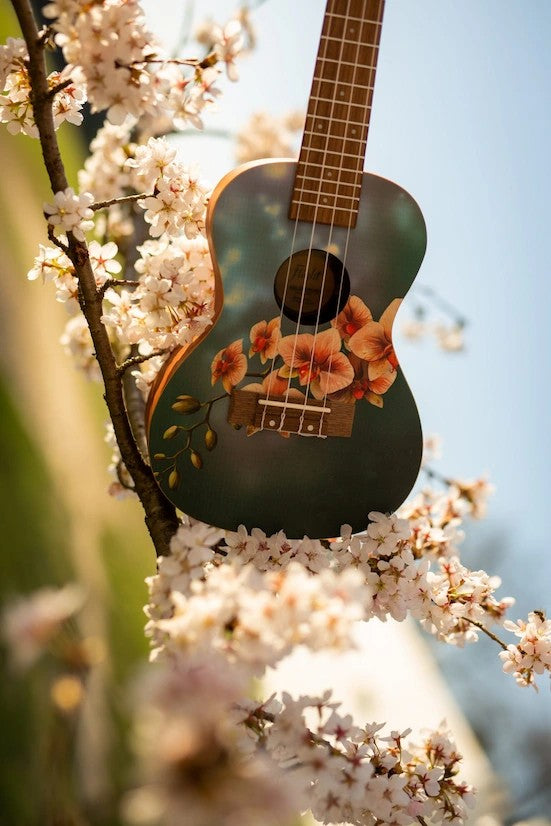 Flight AUC-33 Orchid – concertukelele