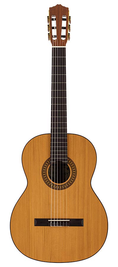 Salvador Cortez CC-22-SN Solid Top Artist Series Klassieke Gitaar 7/8 – afbeelding 3