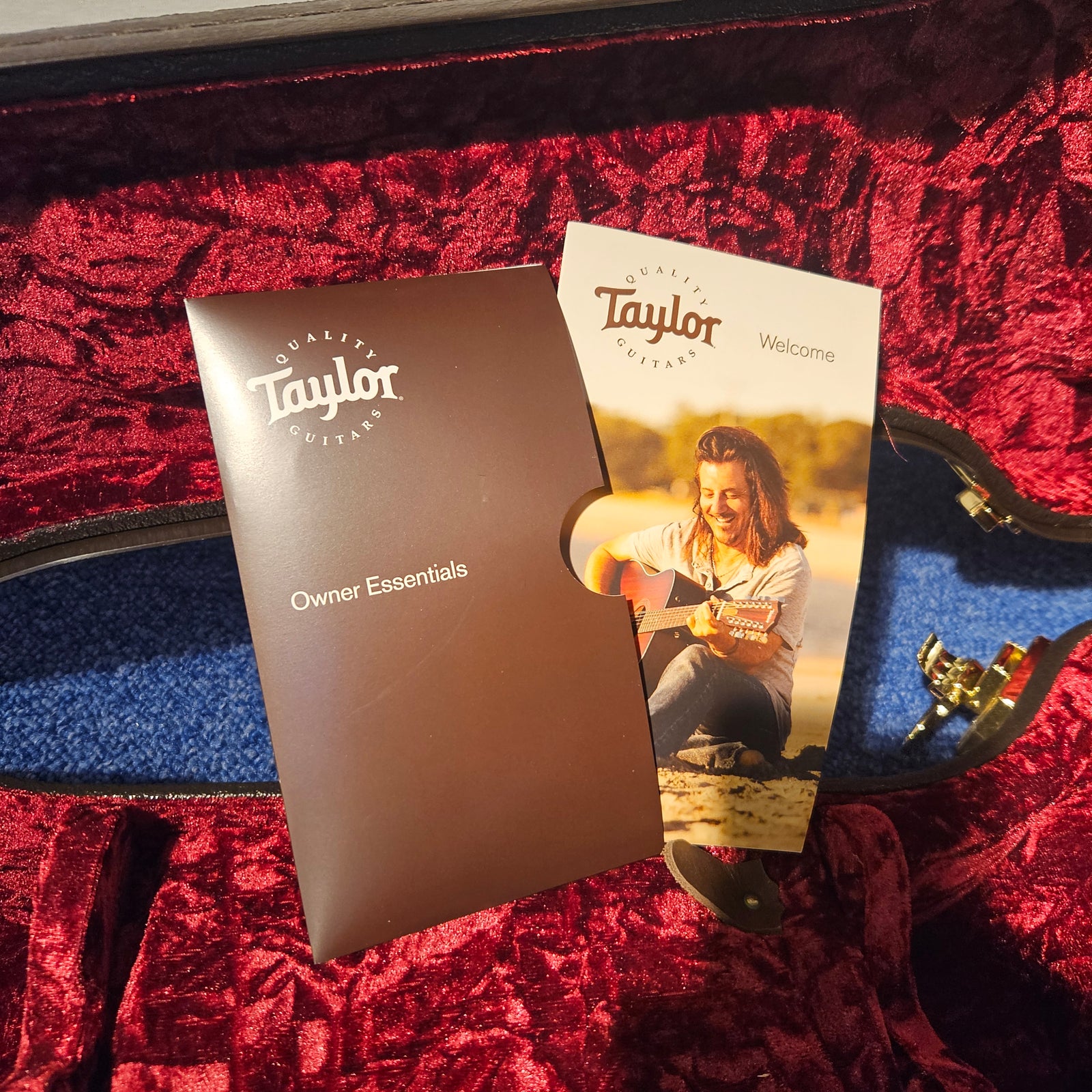 Taylor T5z Pro, Tobacco Sunburst