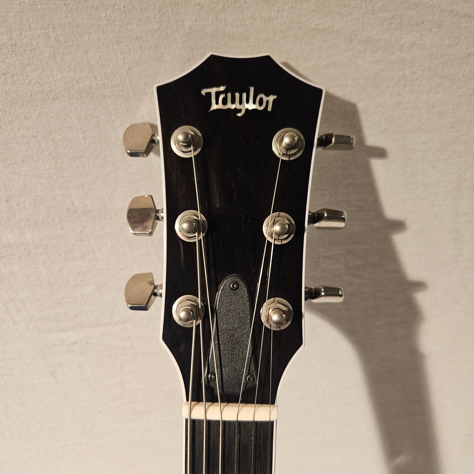 Taylor T5z Pro, Tobacco Sunburst