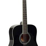 Richwood - RD-12-BK - acoustic guitar – Heads, Black