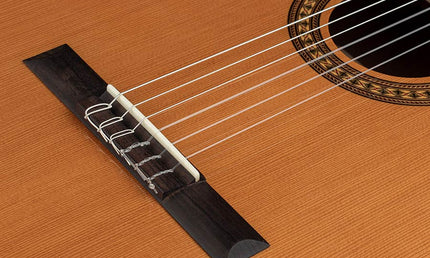 Salvador Cortez - Cc-25 - Classic Guitar