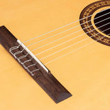 Salvador Cortez - Cs-25 - Classic Guitar