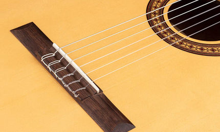 Salvador Cortez - Cs-25 - Classic Guitar
