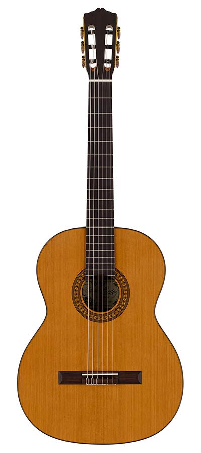 Salvador Cortez - Cc-32 - Classic Guitar