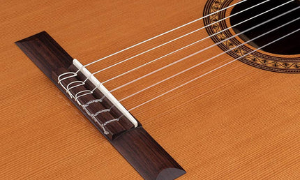 Salvador Cortez - Cc-32 - Classic Guitar