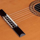 Salvador Cortez - Cc-50 - Classic Guitar