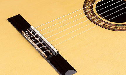 Salvador Cortez - Cs-50 - Classic Guitar