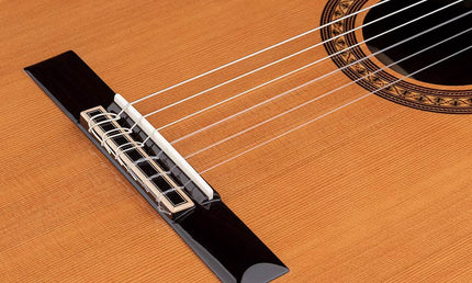Salvador Cortez - Cc-60 - Classic Guitar