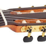 Salvador Cortez - Cc-60 - Classic Guitar