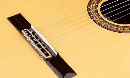 Salvador Cortez - Cs-60 - Classic Guitar