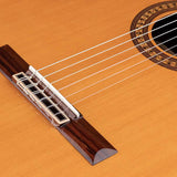 Salvador Cortez - Cc-60Ce - Classic Guitar