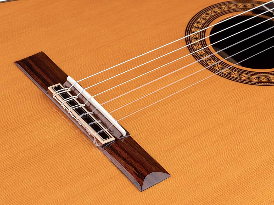 Salvador Cortez - Cc-60Ce - Classic Guitar