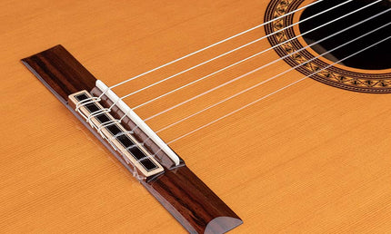 Salvador Cortez - Cc-60Ce - Classic Guitar